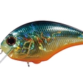 American Sunfish H03