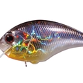 Crystal Blue Shiner H09