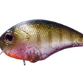 Dazzler Baby Gill L16