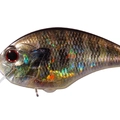 Real Gill Ver.2 RP16