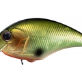 Green Scale H32