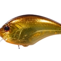 Half Mirror Gold HH53