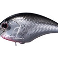 Chrome Shad CH54