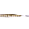 Chi Gill T16