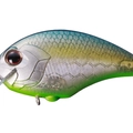 GS Jade Shad Chart Belly GG64
