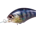 Ice Gill H16