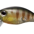 TG Sunfish TG03