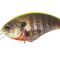 Mat Chart Back Real Gill RP07