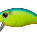 Chartreuse/Blue Back P07