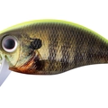 Matte Chart Black Real Gill RP07