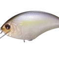 Tasty Shad P23