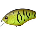 Chart Brown Tiger P27