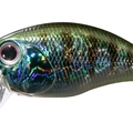 Tsuresu Gill BH45
