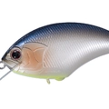 Blue Fish F30