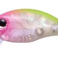 Abalone Pink Clown ABL74