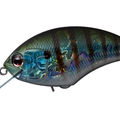Tsuresu Gill BH45