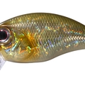 Gold Scale H76