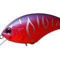 Sunset Tiger PP50