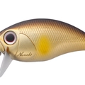 Golden Ayu ME01