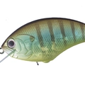 Matte Gill M95