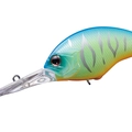 Metallic Blue Back Tiger PP07