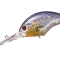 Crystal Blue Shiner H09
