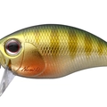 Green Gill GH45