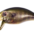 T.N.Gold Gill PMG45