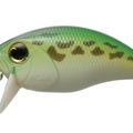 Mighty Frog P56