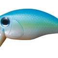 Sky Blue Shiner PP64