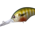 Green Gill GH45