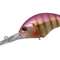 Purple Gill PH45