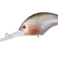 Matte Shad M47
