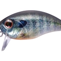 Real Gill RP45