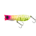 Tropical Coach Dog