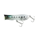 Shirasu Iwashi