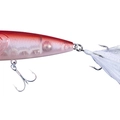 TS Red Squid TSC74