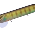 Bluegill P95