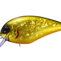 Black Gold Orange Berry H04