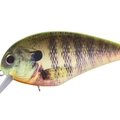 Matte Chart Back Real Gill RP07