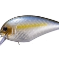 Tasty Shad P23
