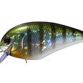 Tsuresu Gill BH45