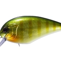Green Gill GH45