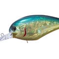 American Sun Fish H03