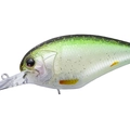 Ghost HF Ketabass SF GSF83