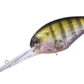 Dazzler Baby Gill L16