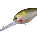 Impact Ayu PB39