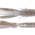 Ghost Shrimp TW117