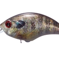 Real Gill Ver.2 RP16