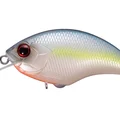 Sexy Shad Ver.2 PB21